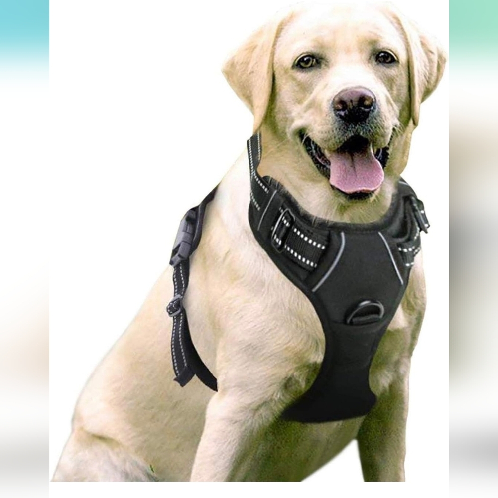 NIP Black Dog Harness Medium With 2 leash clips